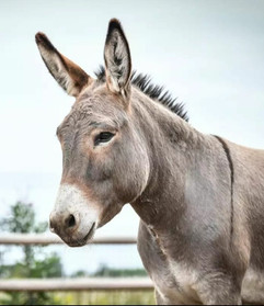 WhatsApp Image 2022-01-18 at 20.55_edited.jpg