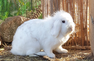 WhatsApp Image 2022-02-09 at 14.55_edited.jpg