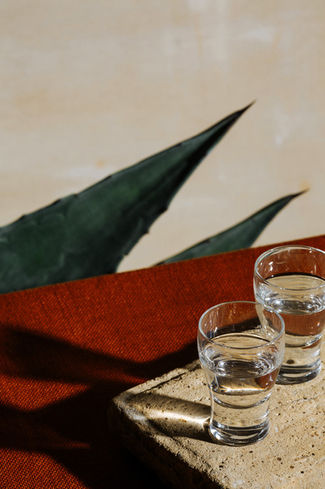 shutterstock_1549580474jpg