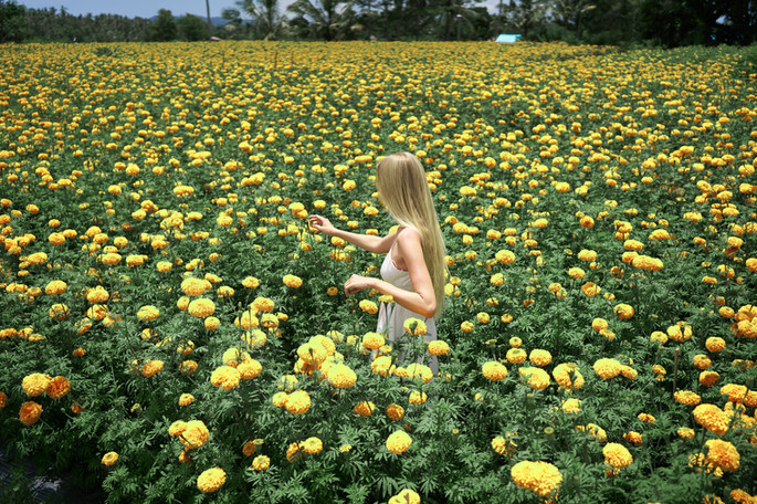 gettyimages-1223761791jpg